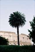 PALM