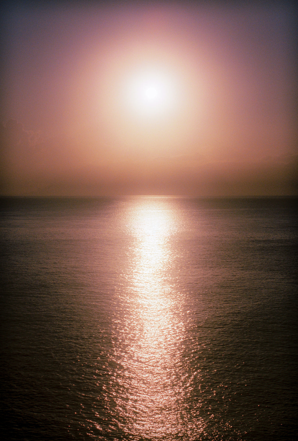 SICILIAN HAZE
