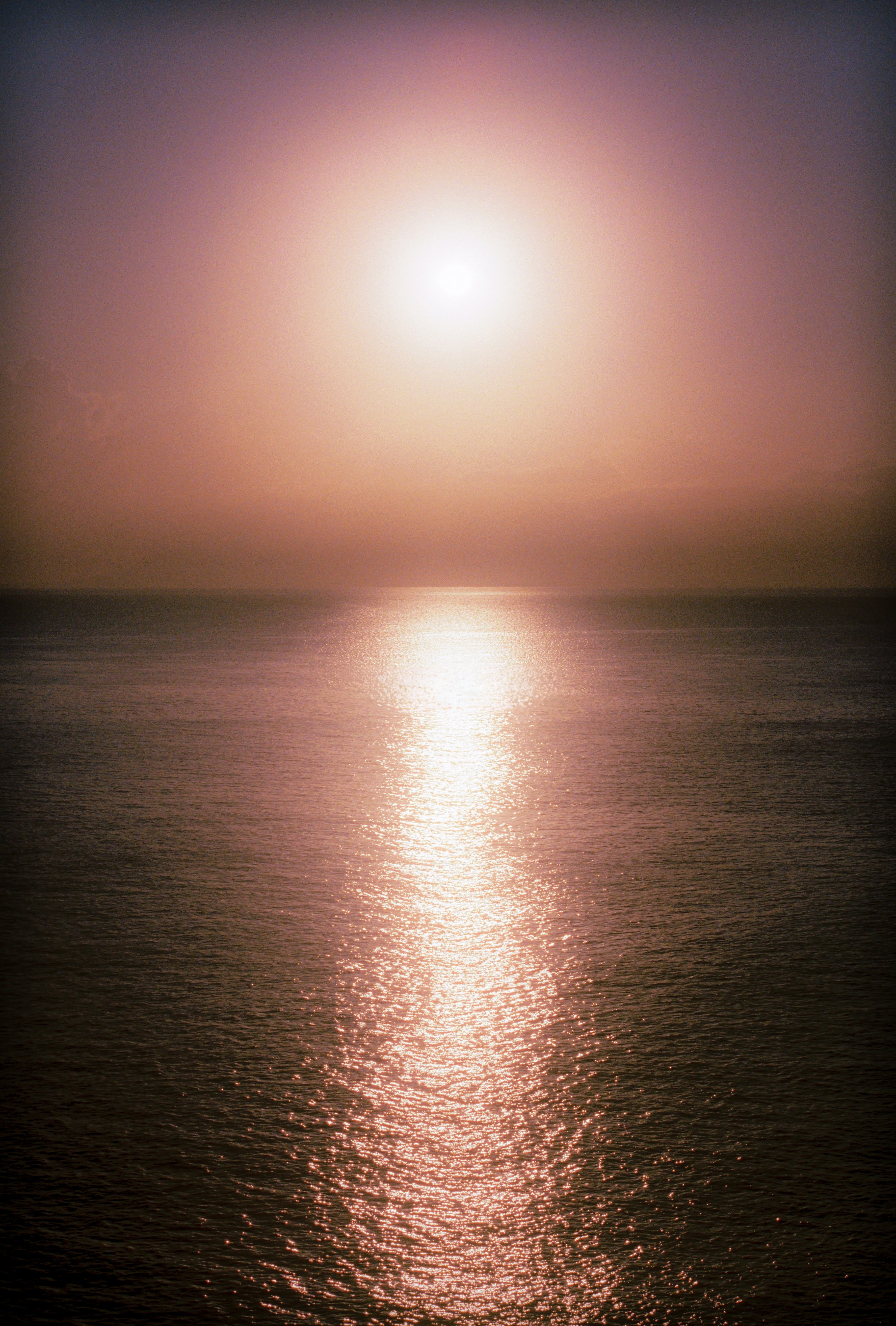 SICILIAN HAZE